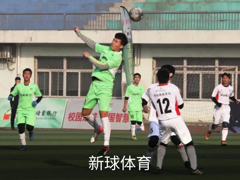 新球体育概况